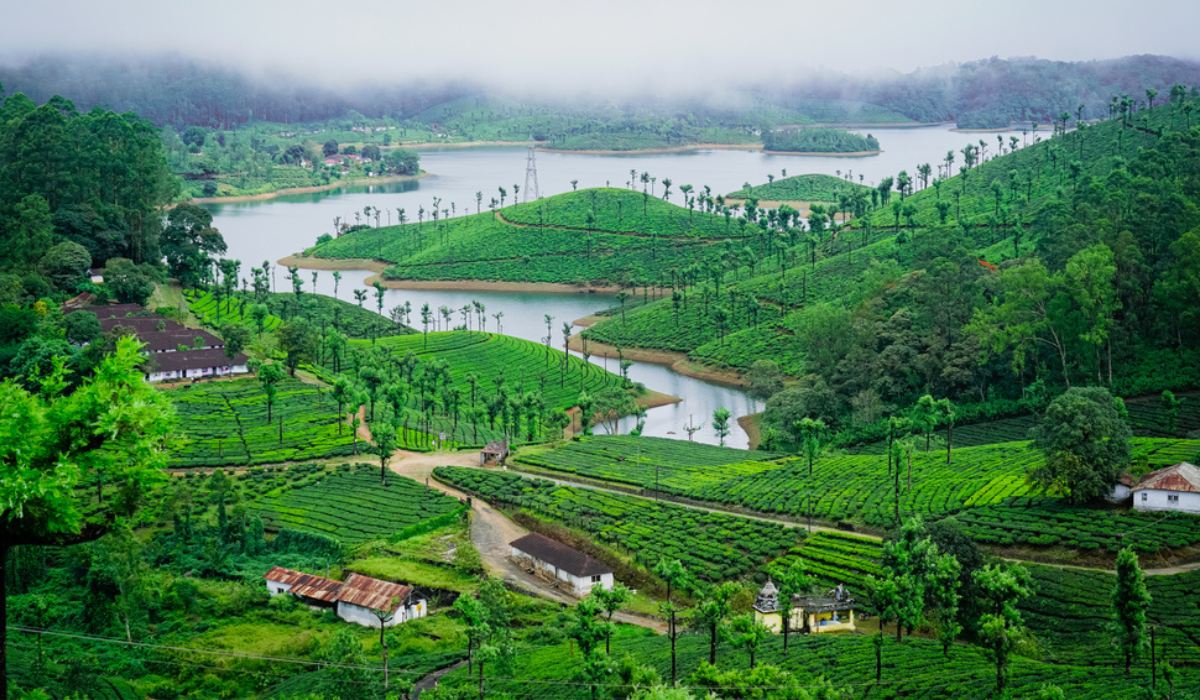 VALPARAI-FEATURE-compressed